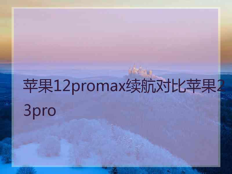 苹果12promax续航对比苹果23pro