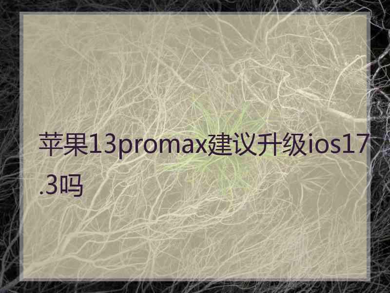 苹果13promax建议升级ios17.3吗