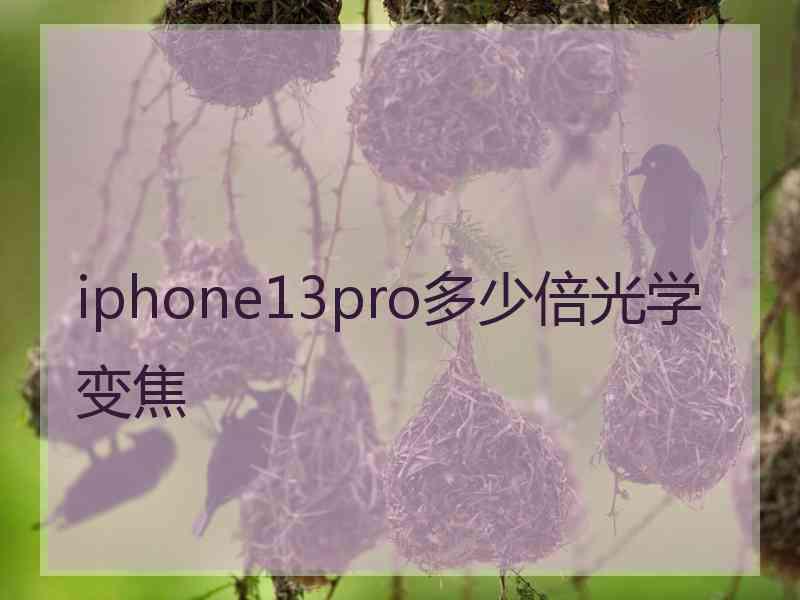 iphone13pro多少倍光学变焦