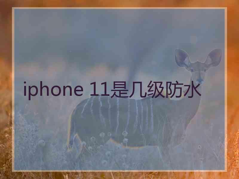 iphone 11是几级防水