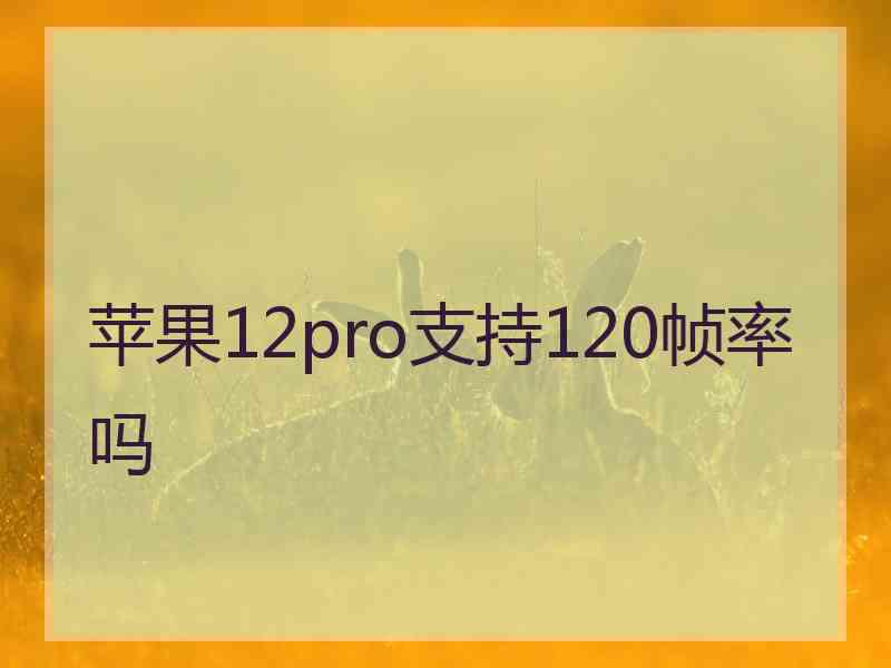 苹果12pro支持120帧率吗