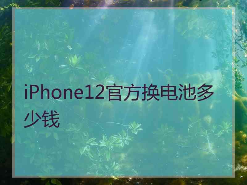 iPhone12官方换电池多少钱