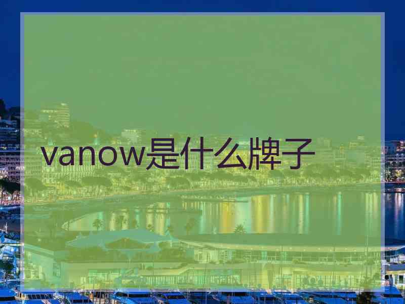 vanow是什么牌子