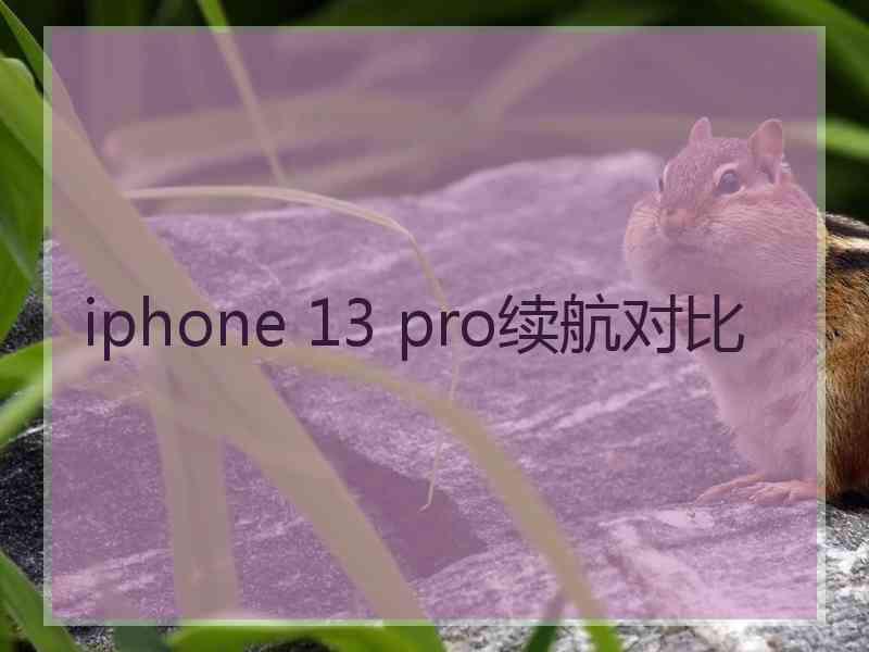 iphone 13 pro续航对比