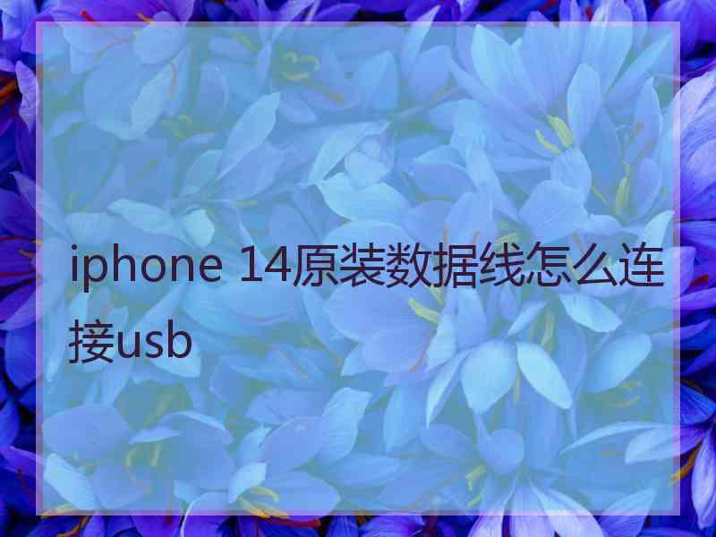 iphone 14原装数据线怎么连接usb