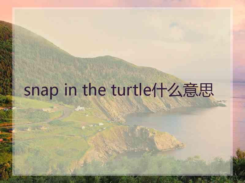 snap in the turtle什么意思