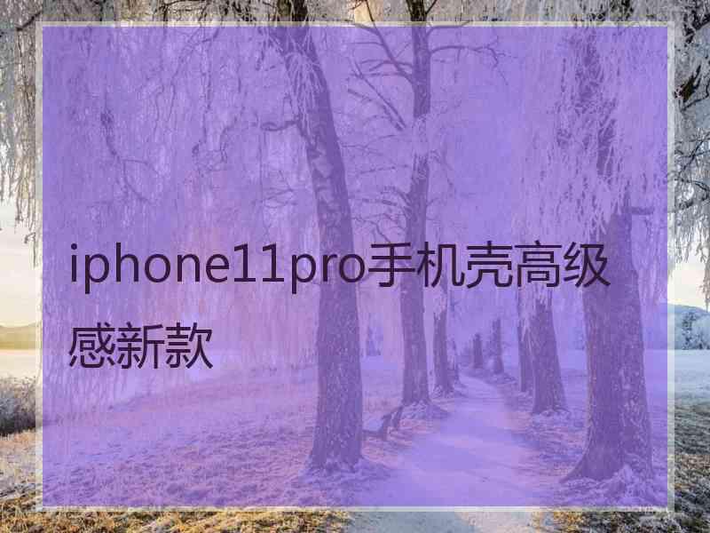 iphone11pro手机壳高级感新款