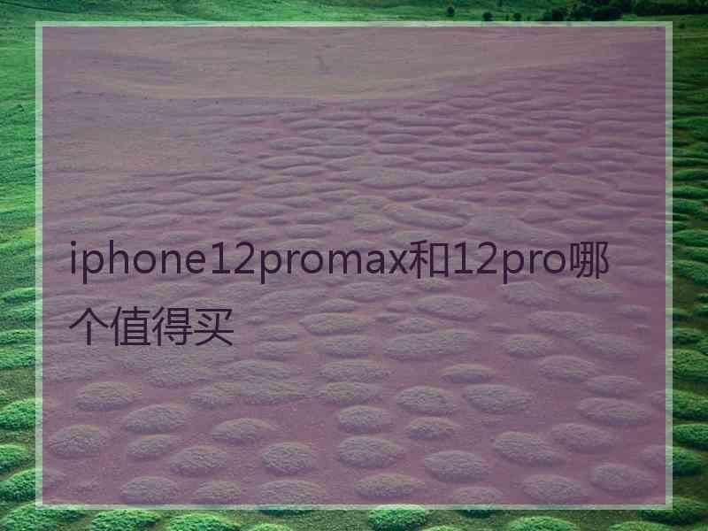 iphone12promax和12pro哪个值得买