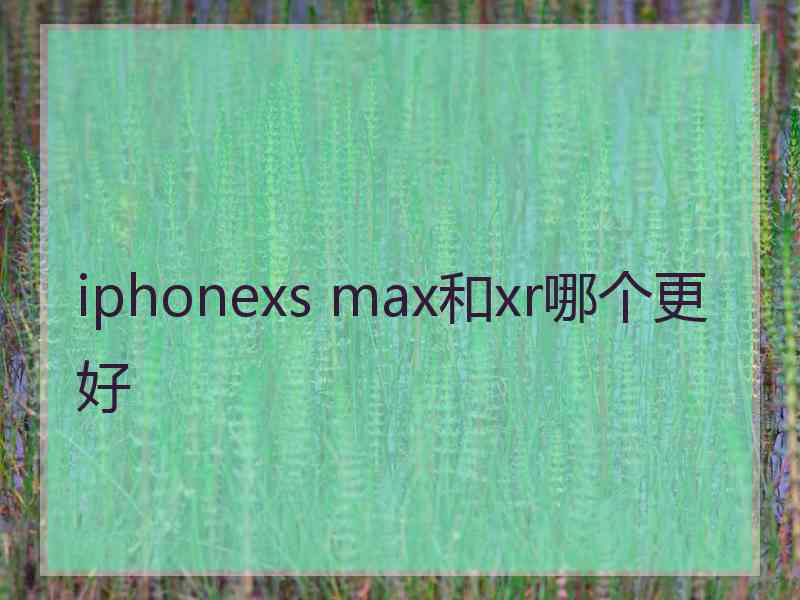 iphonexs max和xr哪个更好