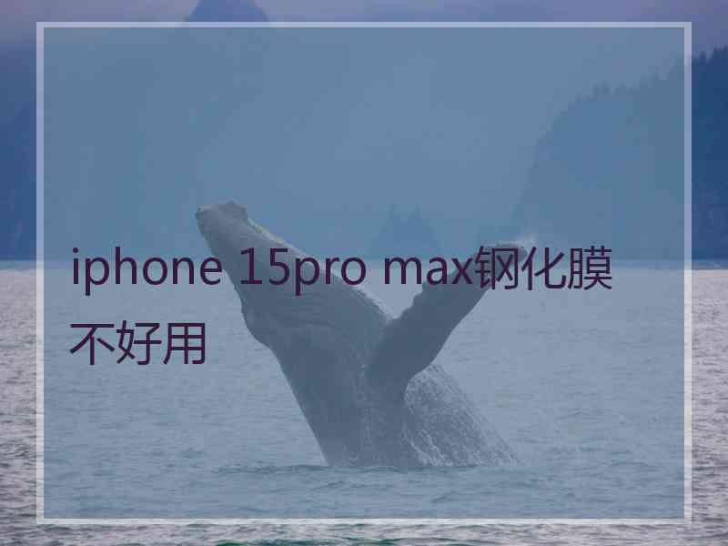 iphone 15pro max钢化膜不好用