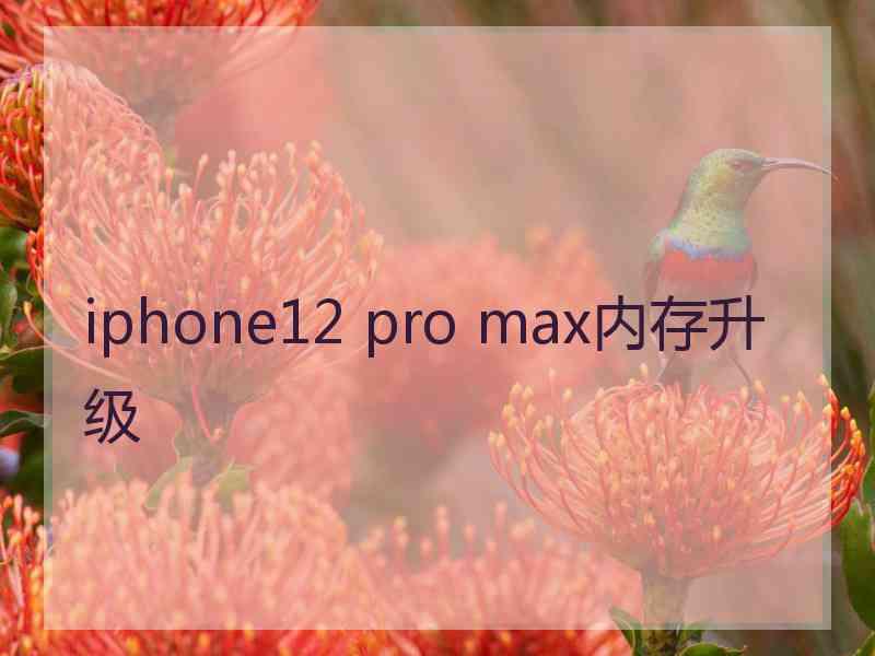 iphone12 pro max内存升级