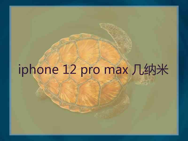 iphone 12 pro max 几纳米