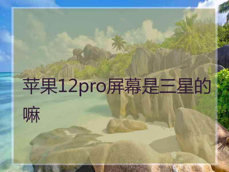 苹果12pro屏幕是三星的嘛