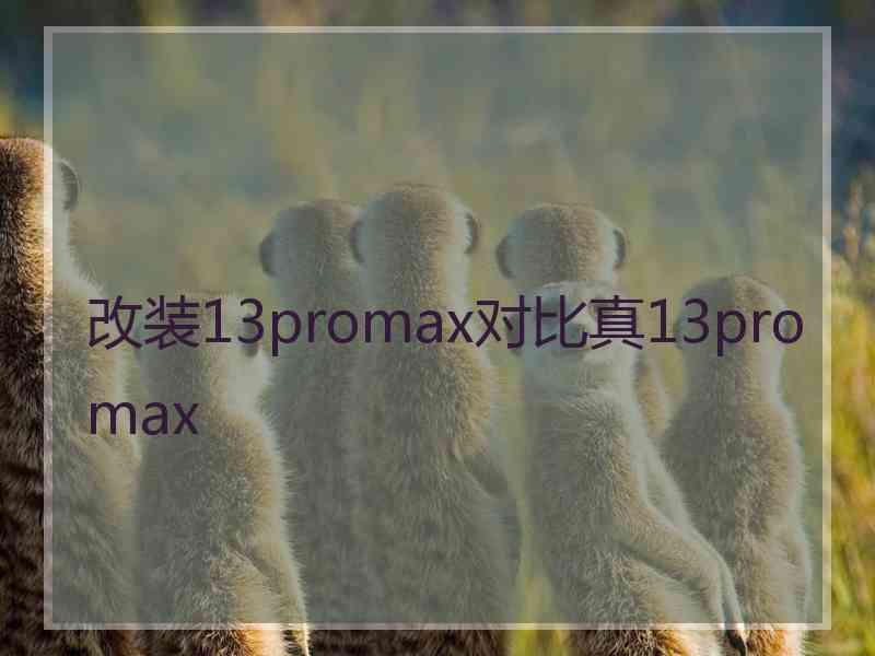 改装13promax对比真13promax