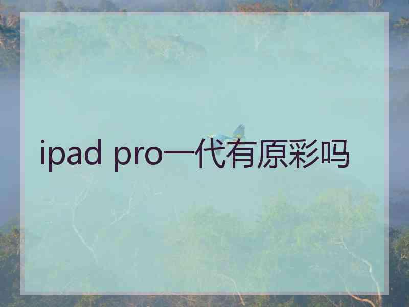 ipad pro一代有原彩吗