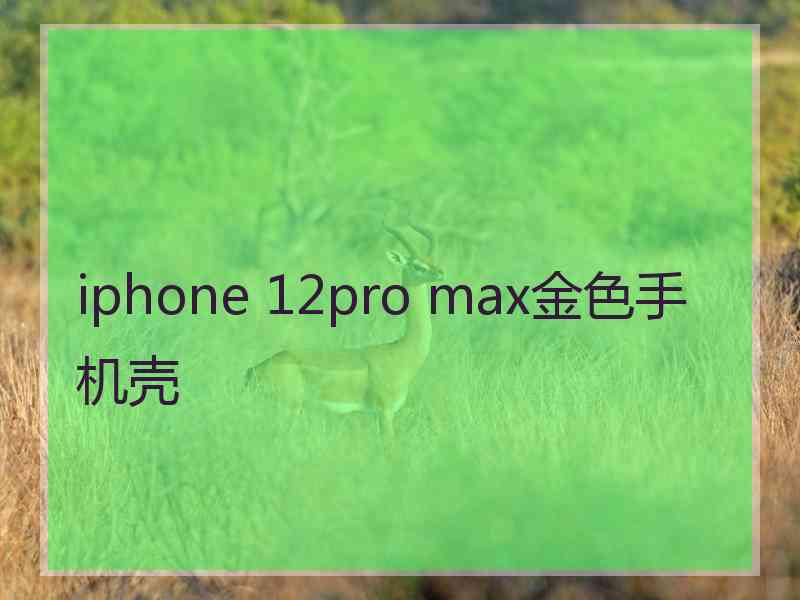 iphone 12pro max金色手机壳