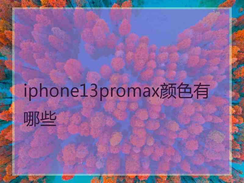 iphone13promax颜色有哪些