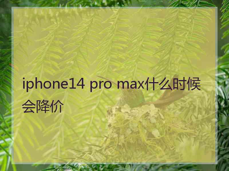 iphone14 pro max什么时候会降价