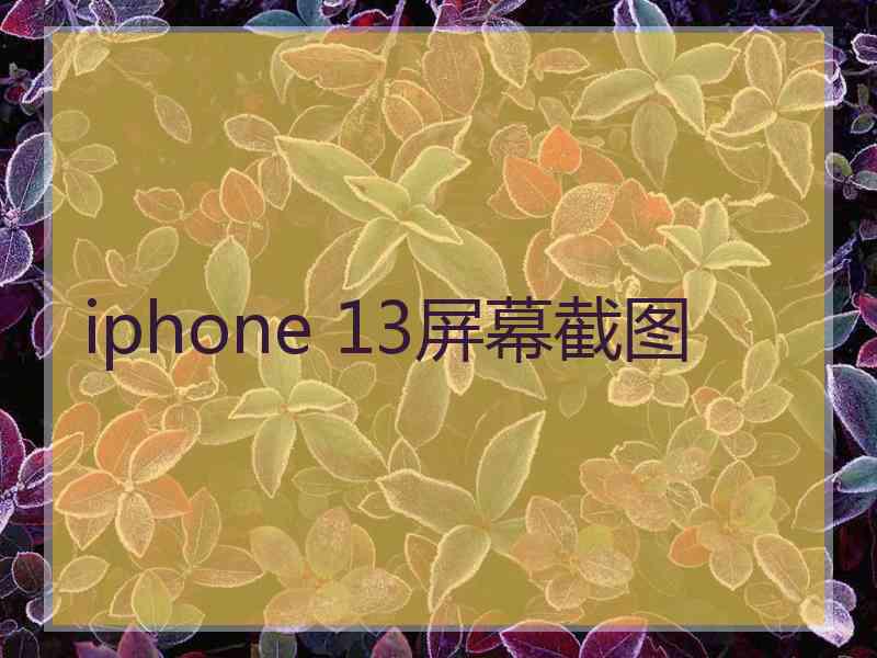 iphone 13屏幕截图