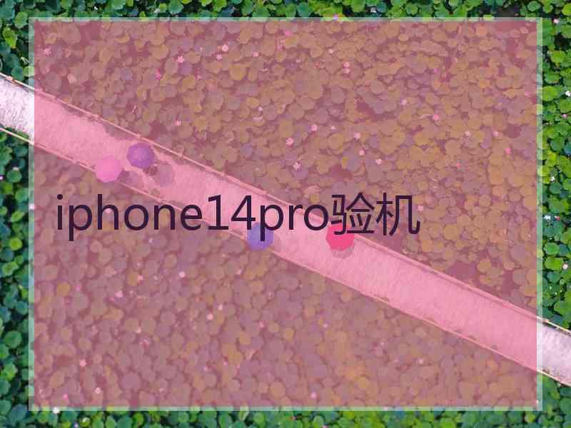 iphone14pro验机