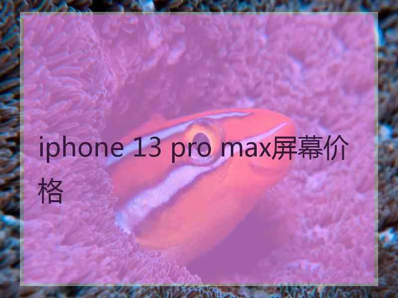 iphone 13 pro max屏幕价格