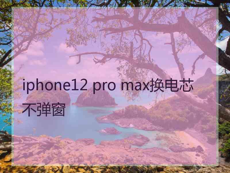 iphone12 pro max换电芯不弹窗