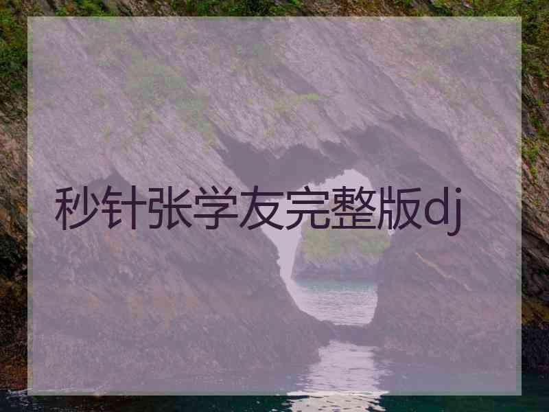 秒针张学友完整版dj