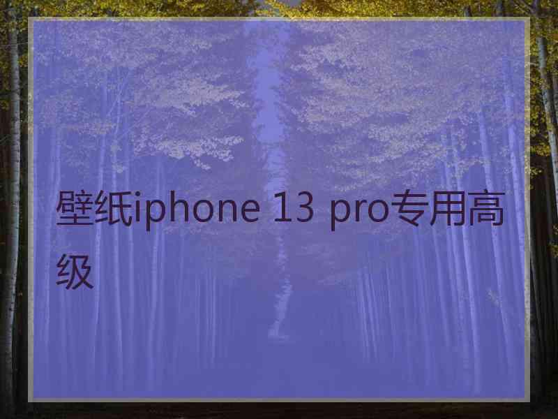 壁纸iphone 13 pro专用高级