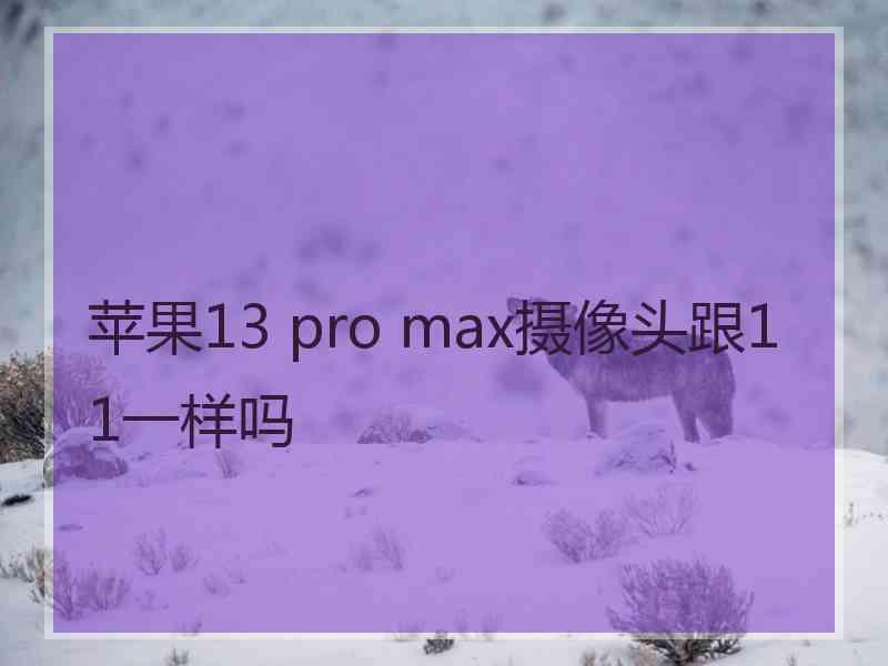 苹果13 pro max摄像头跟11一样吗