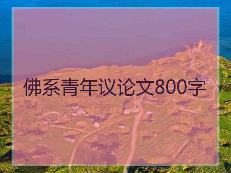 佛系青年议论文800字