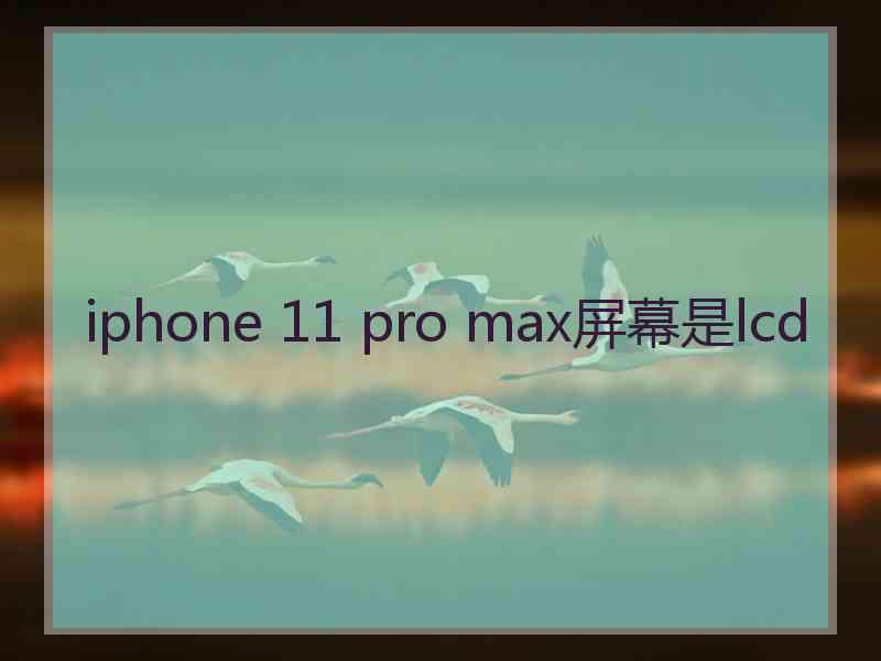 iphone 11 pro max屏幕是lcd