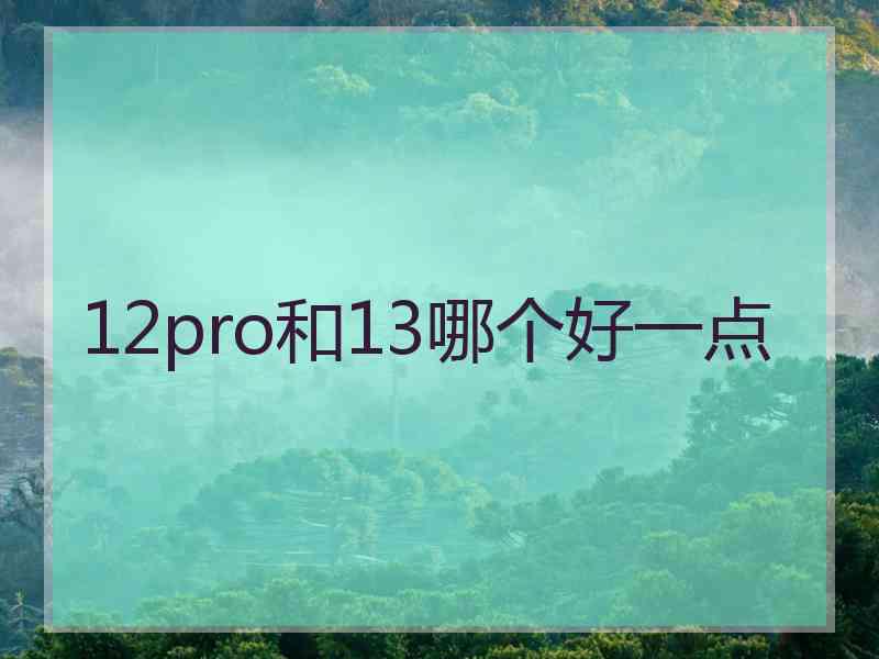 12pro和13哪个好一点