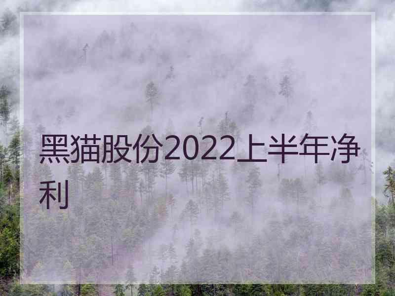 黑猫股份2022上半年净利