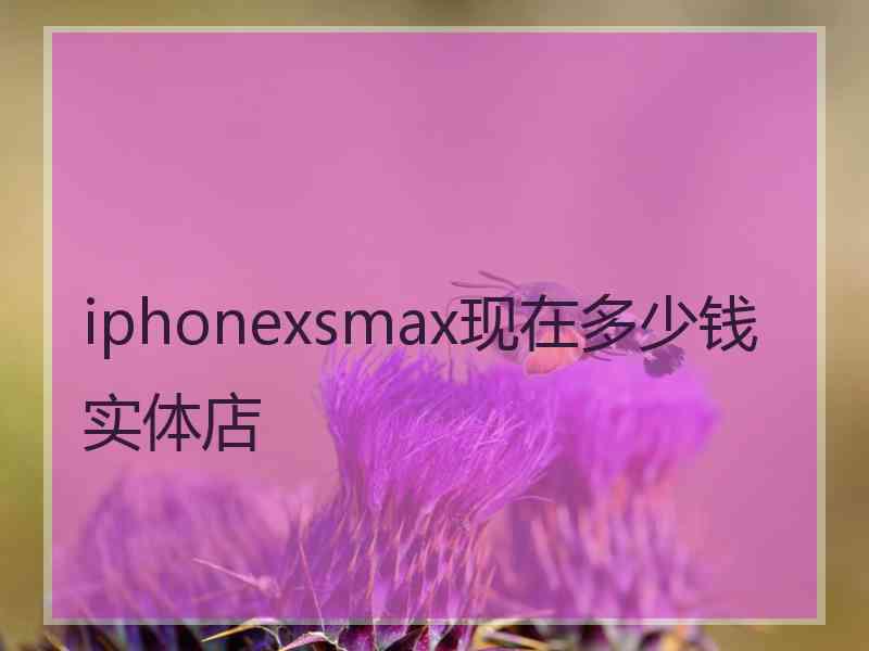 iphonexsmax现在多少钱实体店