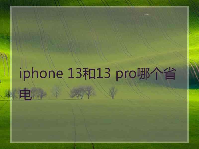 iphone 13和13 pro哪个省电