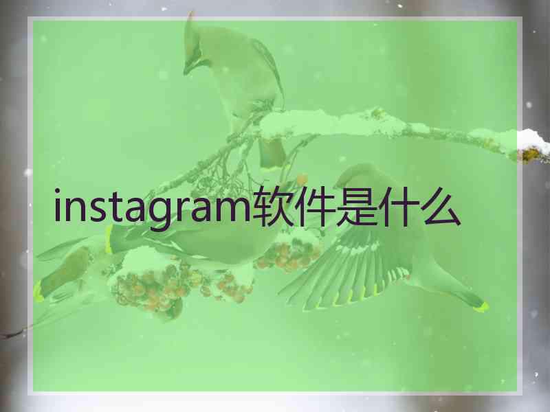 instagram软件是什么