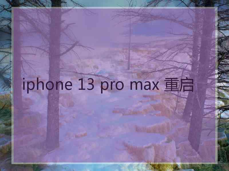 iphone 13 pro max 重启