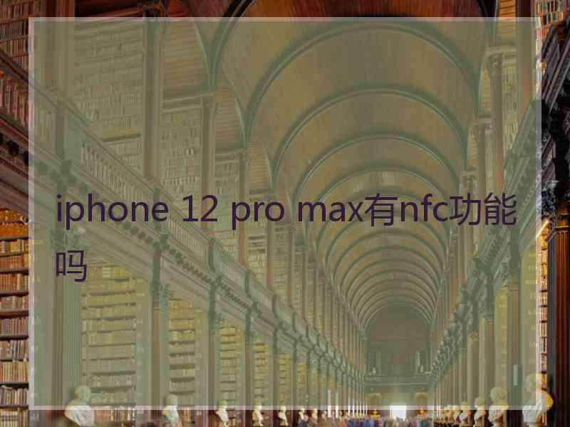 iphone 12 pro max有nfc功能吗