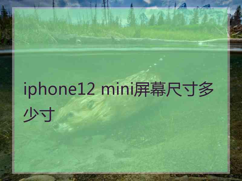 iphone12 mini屏幕尺寸多少寸