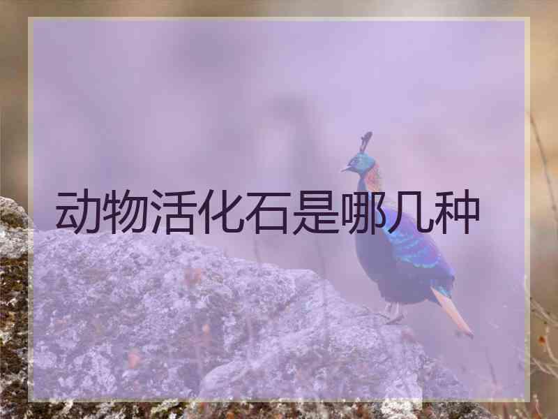 动物活化石是哪几种