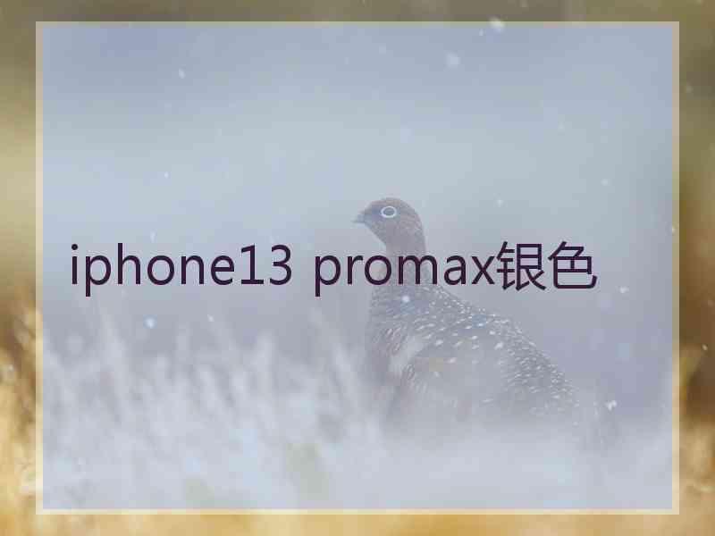 iphone13 promax银色