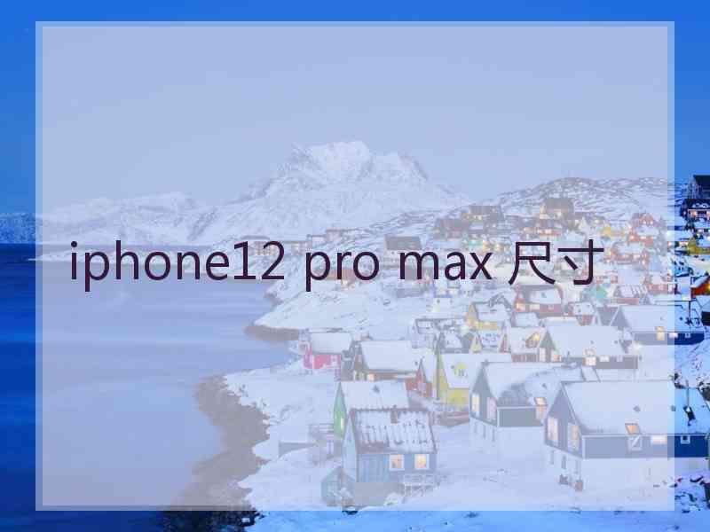 iphone12 pro max 尺寸