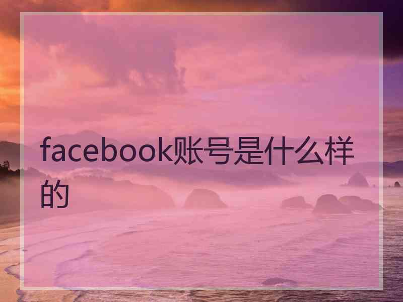 facebook账号是什么样的