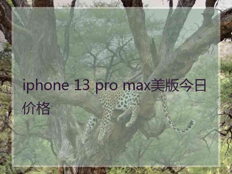 iphone 13 pro max美版今日价格