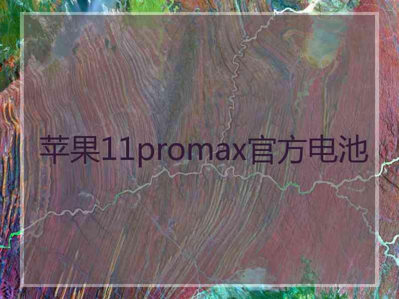 苹果11promax官方电池