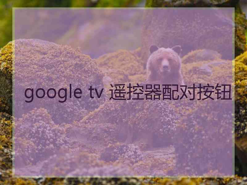 google tv 遥控器配对按钮