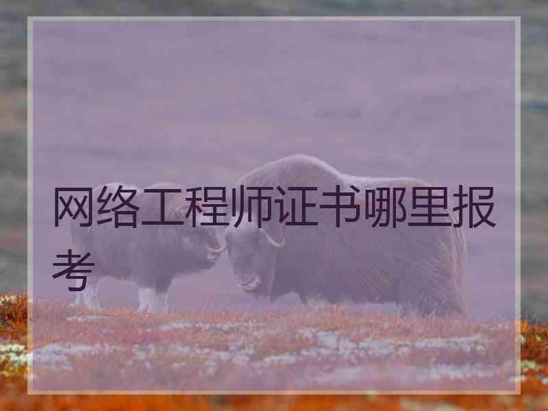 网络工程师证书哪里报考