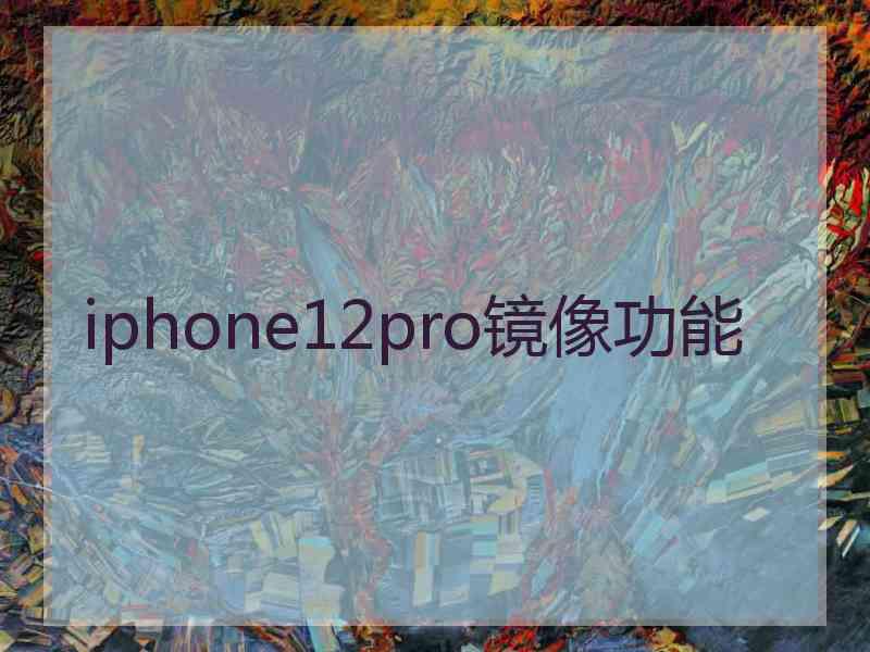 iphone12pro镜像功能