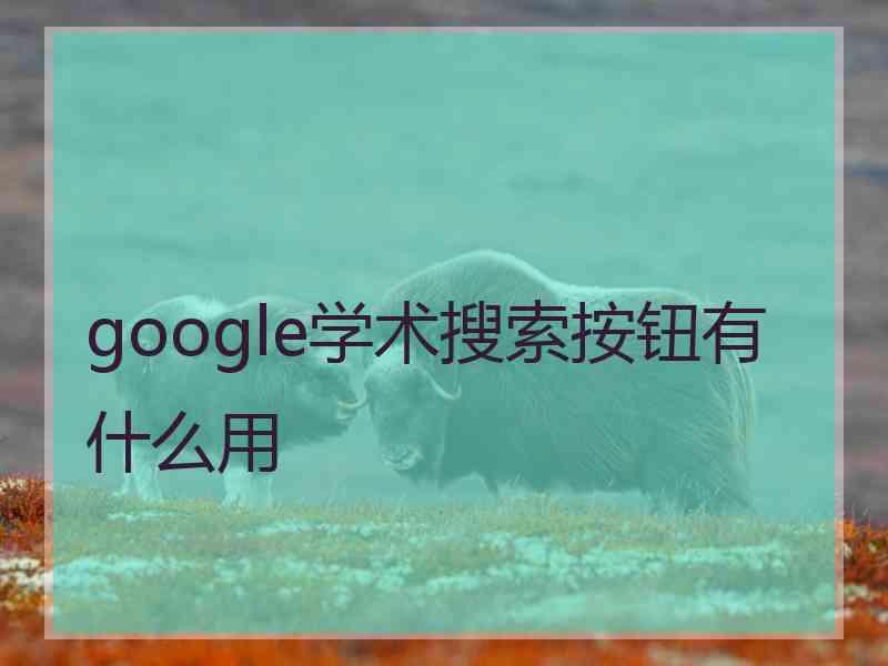 google学术搜索按钮有什么用