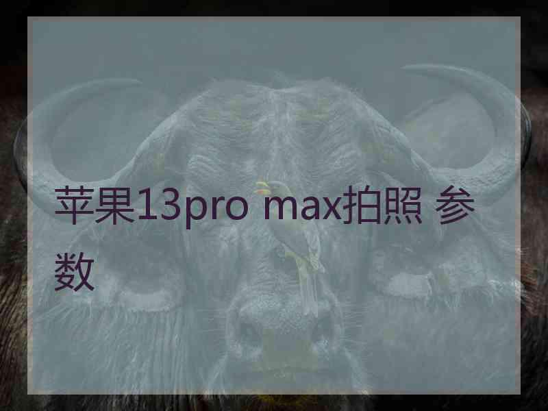 苹果13pro max拍照 参数